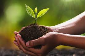Save Soil