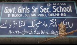 Govt. Girls Sen Sec School, D-Block Sultanpuri, Delhi