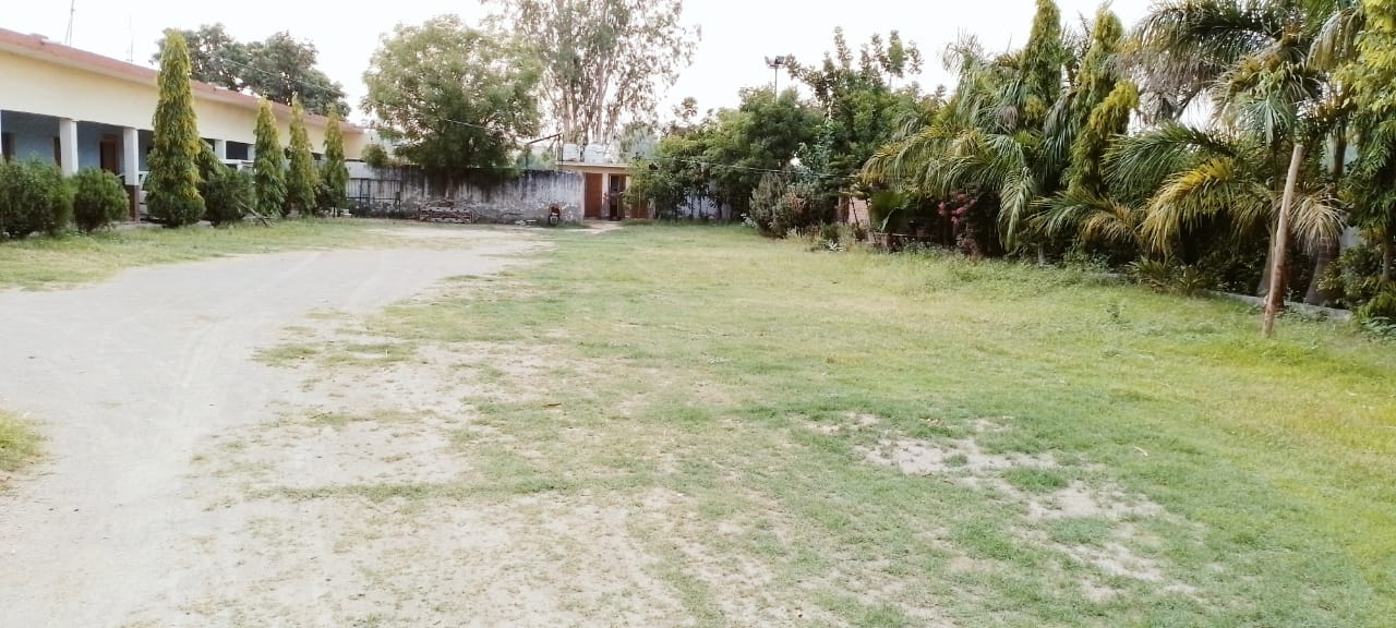 moment image