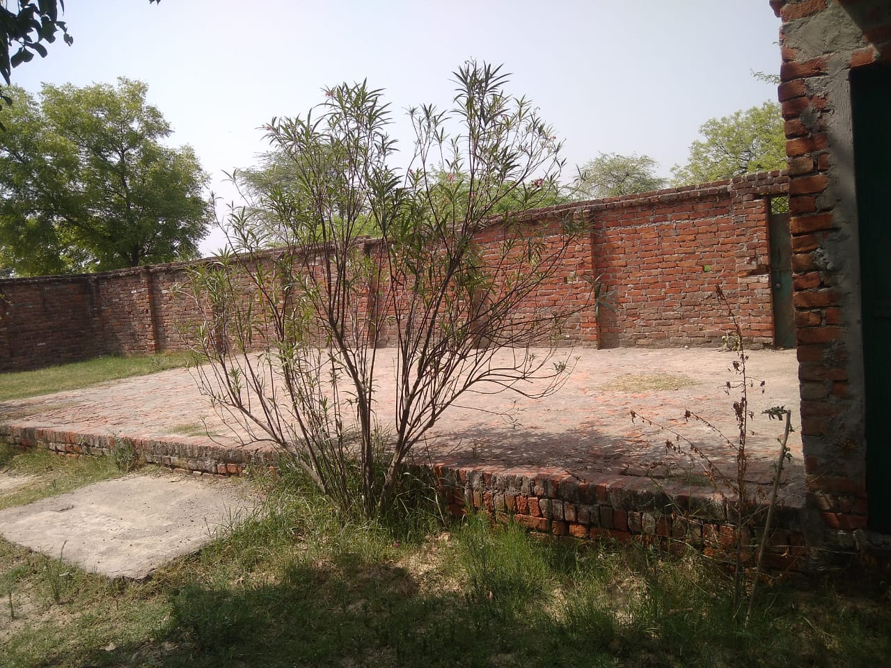 moment image