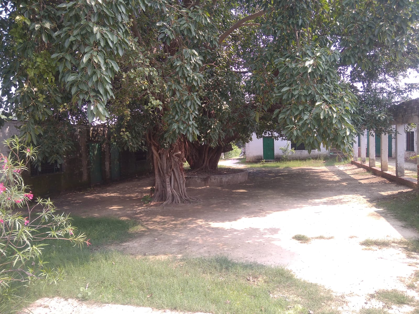 moment image