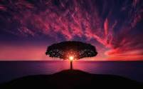 moment image